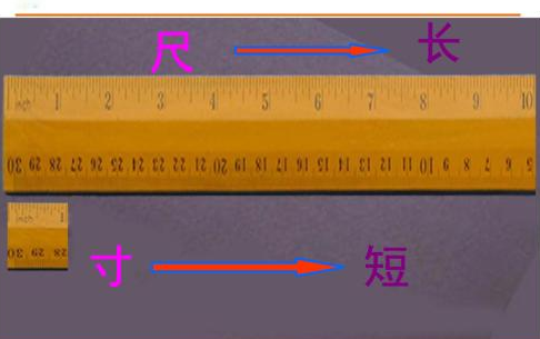 尺有所短，寸有所长，应该怎么造句呢？