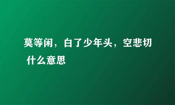 莫等闲，白了少年头，空悲切 什么意思