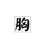 “胸”字拼音是什么？