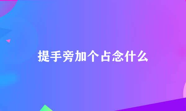 提手旁加个占念什么