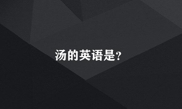 汤的英语是？