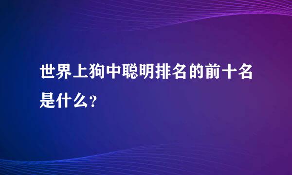 世界上狗中聪明排名的前十名是什么？