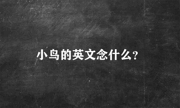 小鸟的英文念什么？