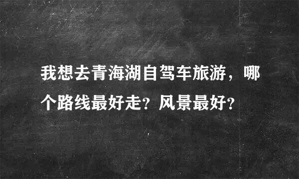 我想去青海湖自驾车旅游，哪个路线最好走？风景最好？