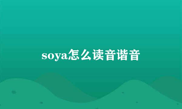 soya怎么读音谐音