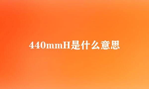 440mmH是什么意思