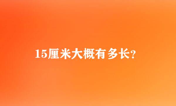 15厘米大概有多长？