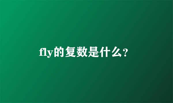 fly的复数是什么？