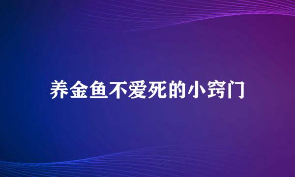 养金鱼不爱死的小窍门