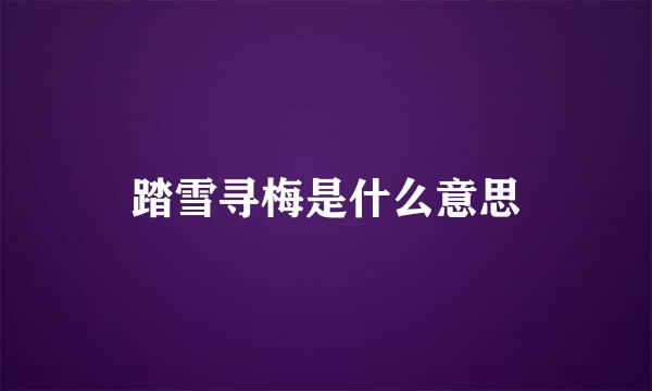 踏雪寻梅是什么意思