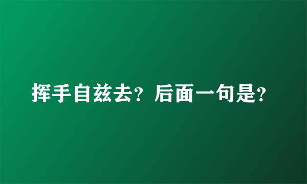 挥手自兹去？后面一句是？