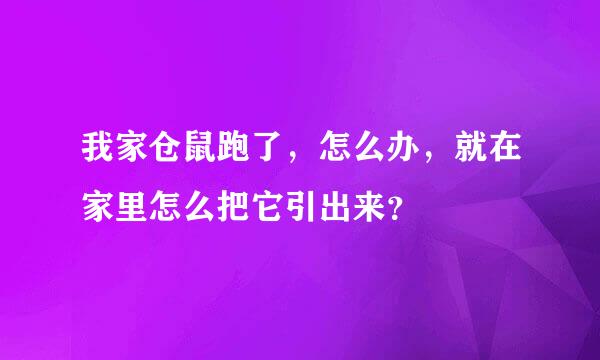 我家仓鼠跑了，怎么办，就在家里怎么把它引出来？