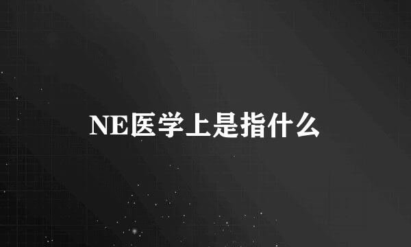 NE医学上是指什么