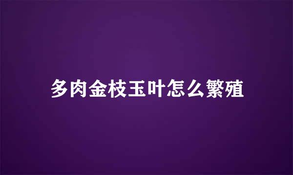 多肉金枝玉叶怎么繁殖