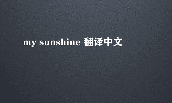 my sunshine 翻译中文