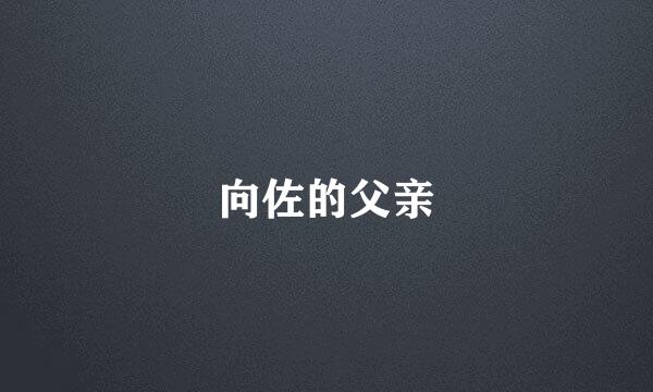 向佐的父亲