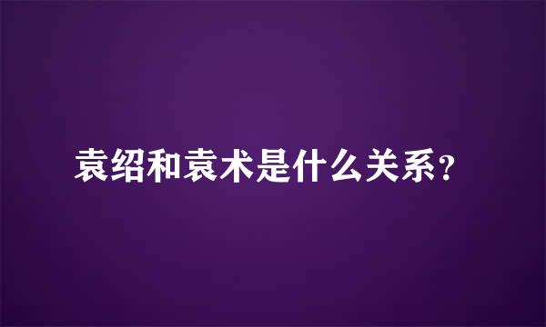 袁绍和袁术是什么关系？