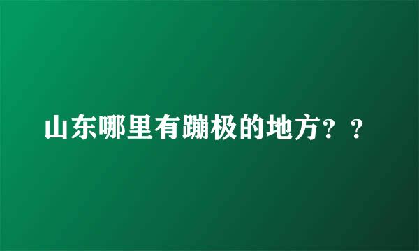 山东哪里有蹦极的地方？？