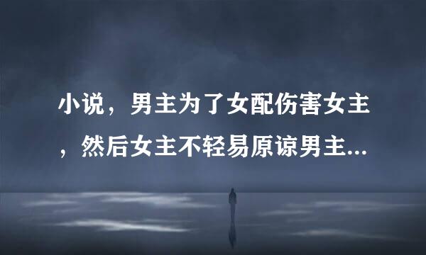 小说，男主为了女配伤害女主，然后女主不轻易原谅男主，不原谅男主，男主十分后悔，记住，女主不轻易原谅