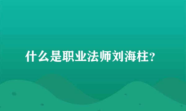 什么是职业法师刘海柱？