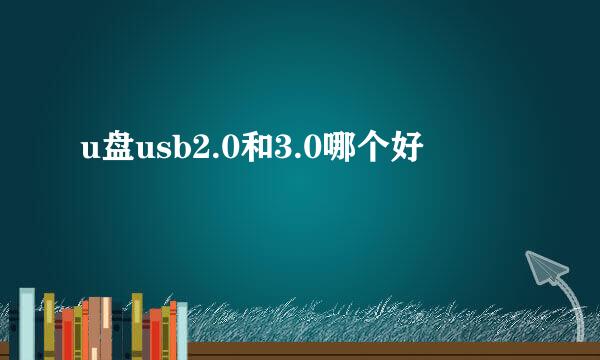 u盘usb2.0和3.0哪个好