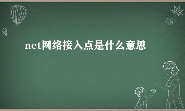 net网络接入点是什么意思