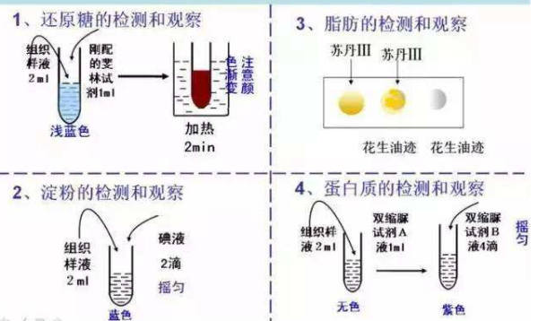 斐林试剂检测还原糖的化学反应实质是什么