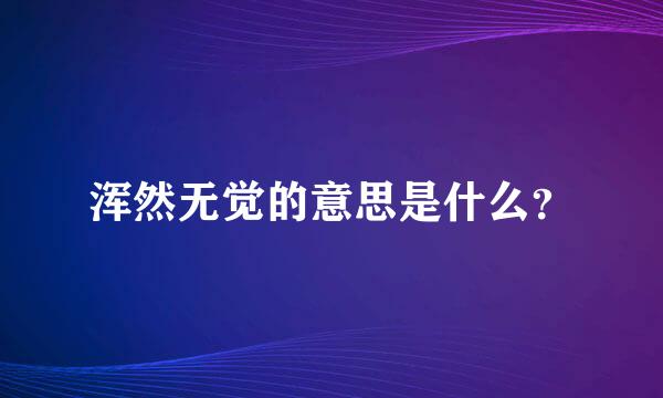 浑然无觉的意思是什么？