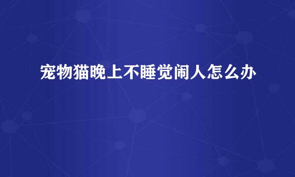 宠物猫晚上不睡觉闹人怎么办