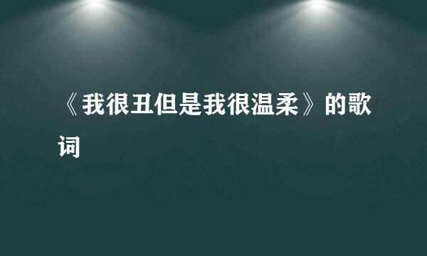 《我很丑但是我很温柔》的歌词