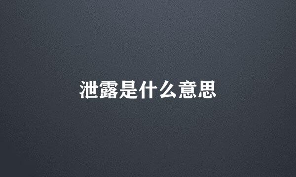 泄露是什么意思