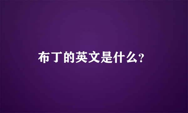 布丁的英文是什么？