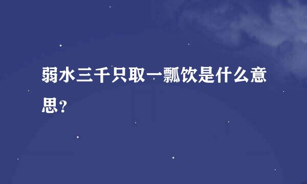 弱水三千只取一瓢饮是什么意思？