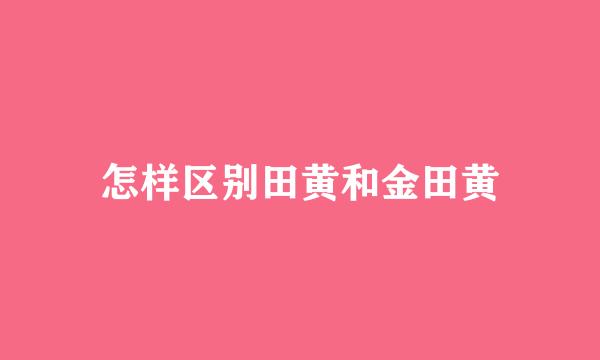 怎样区别田黄和金田黄