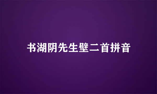 书湖阴先生壁二首拼音