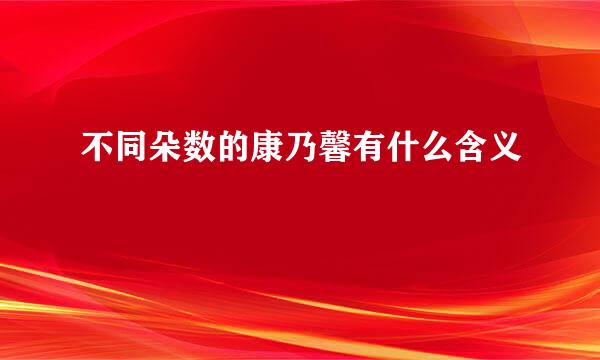 不同朵数的康乃馨有什么含义