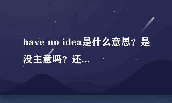 have no idea是什么意思？是没主意吗？还是不知道呢？