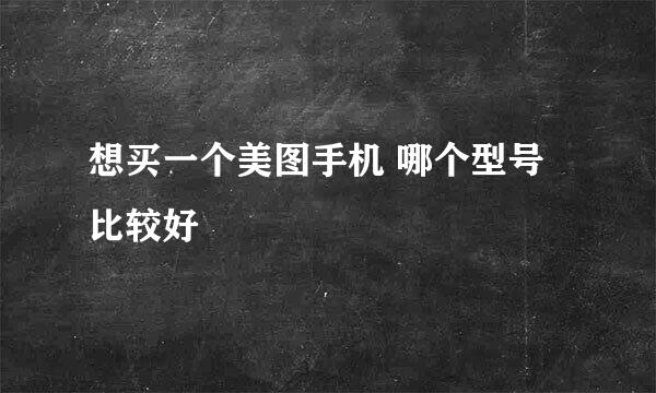 想买一个美图手机 哪个型号比较好