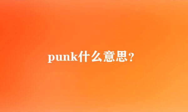 punk什么意思？