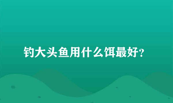 钓大头鱼用什么饵最好？