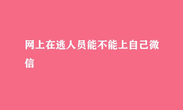 网上在逃人员能不能上自己微信