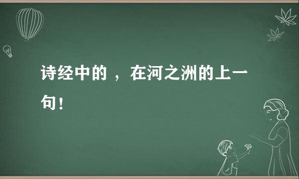 诗经中的 ，在河之洲的上一句！