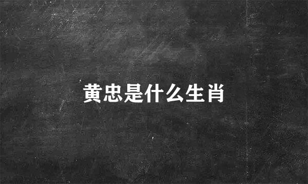 黄忠是什么生肖