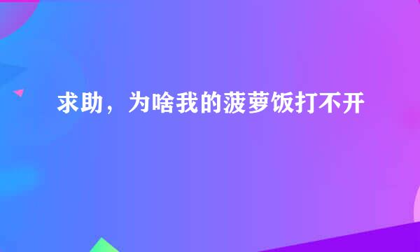 求助，为啥我的菠萝饭打不开