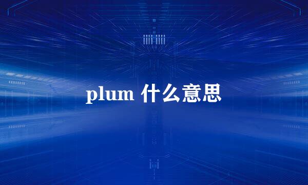 plum 什么意思