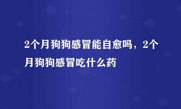 2个月狗狗感冒能自愈吗，2个月狗狗感冒吃什么药