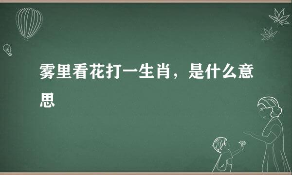 雾里看花打一生肖，是什么意思