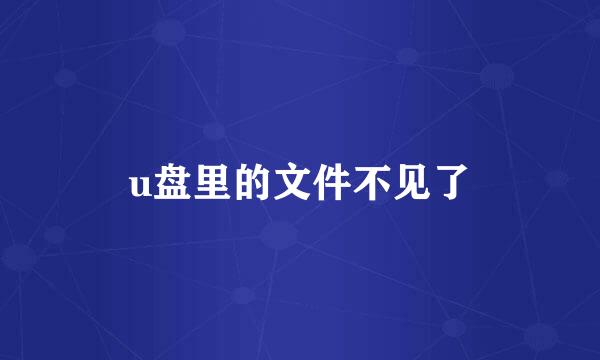 u盘里的文件不见了