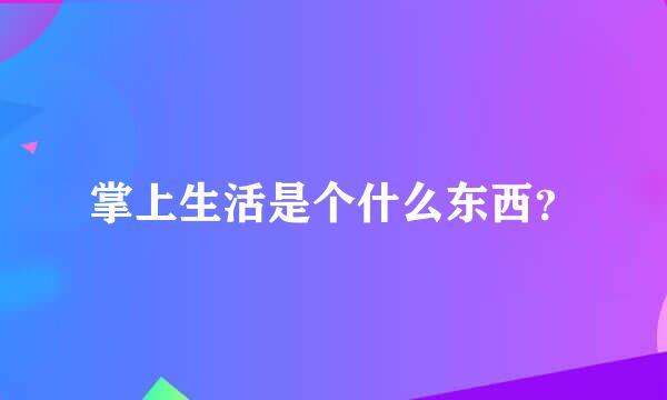 掌上生活是个什么东西？