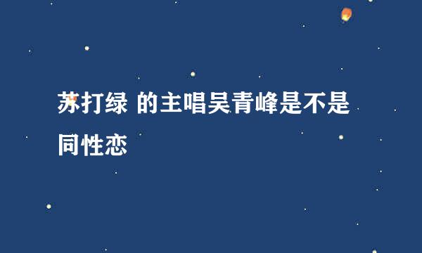 苏打绿 的主唱吴青峰是不是同性恋